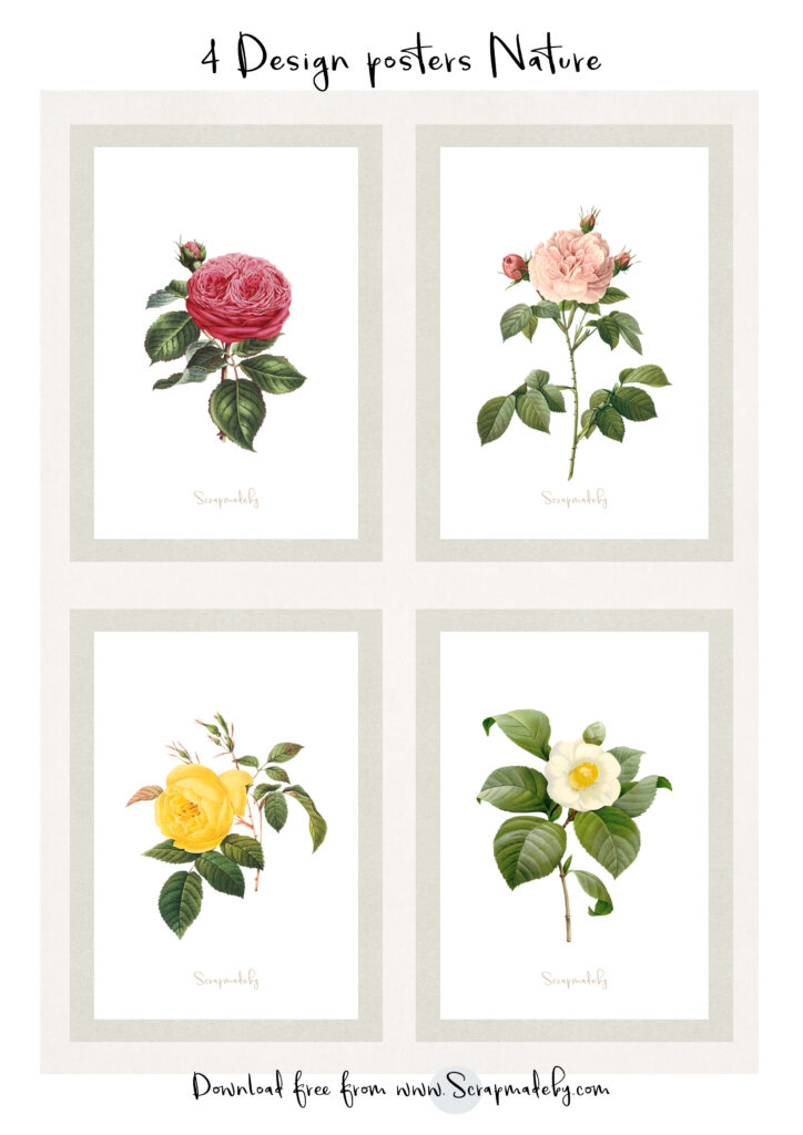 Design poster nature