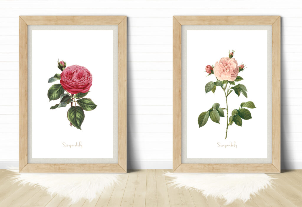Design poster nature
