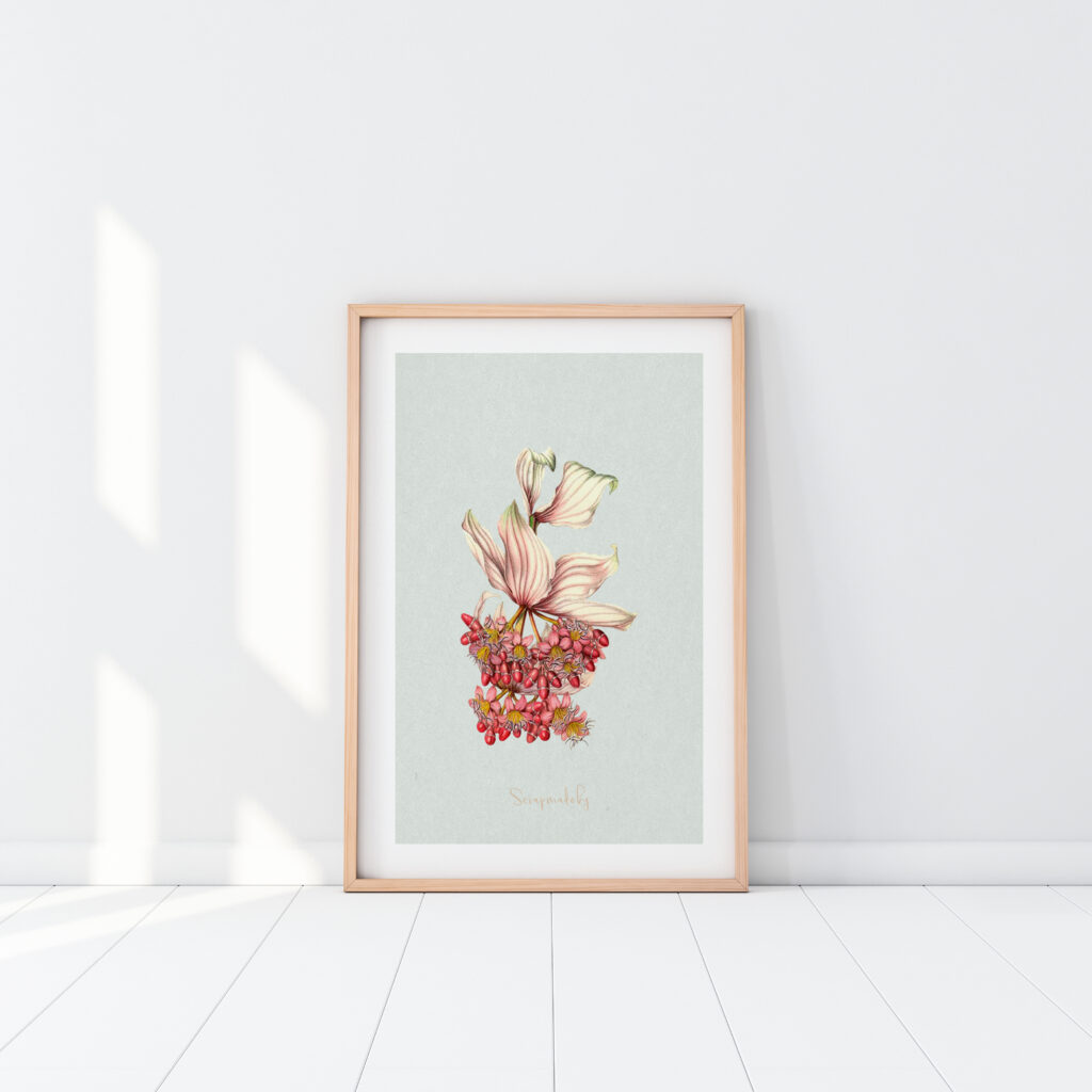 Design poster nature